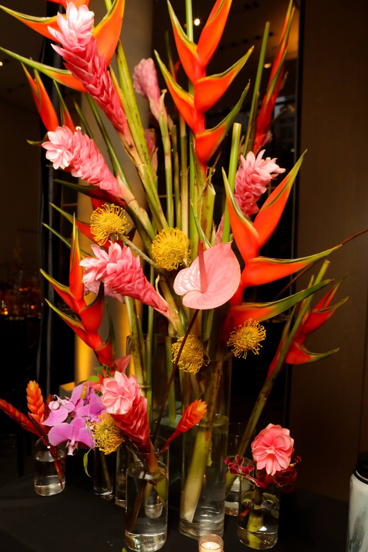 BFA_46959_6659830