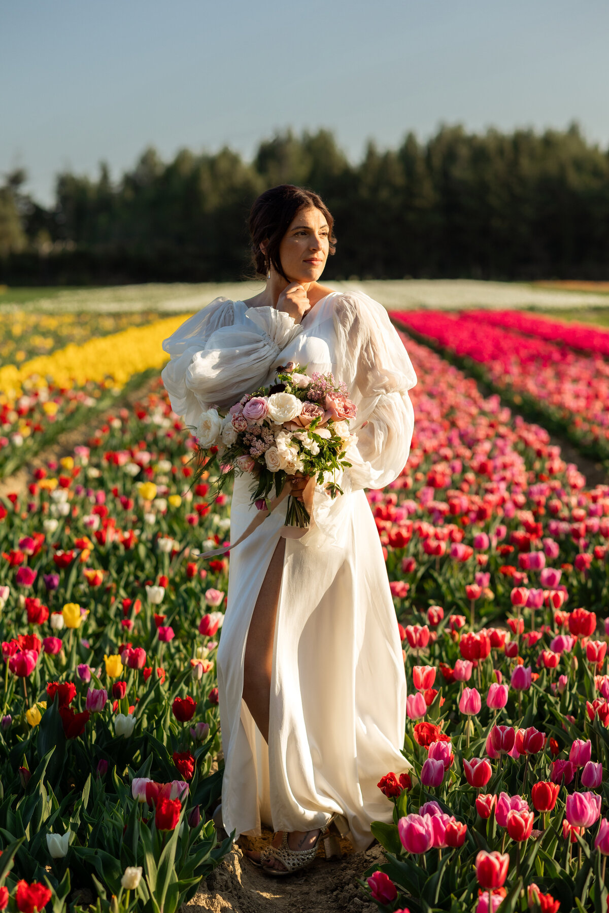 Bride-Tulip-Provence