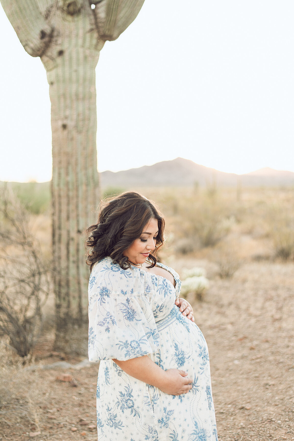 phoenix-maternity-photographer-358