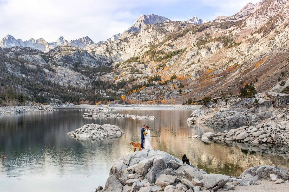 A bride and groom enjoy their wedding day with their two dogs, in front of a pristine alpine lake in the Eastern Sierras at sunrise.