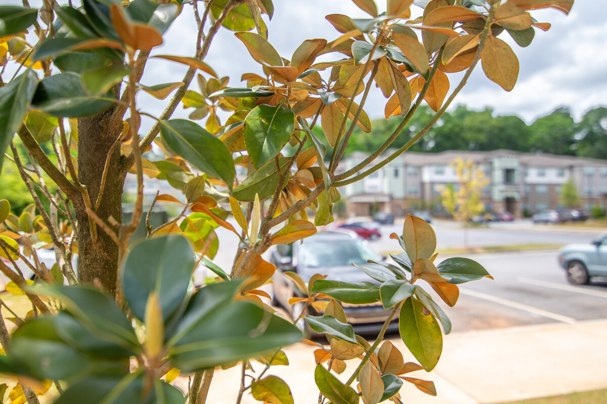 043024ATLHartland Station-102