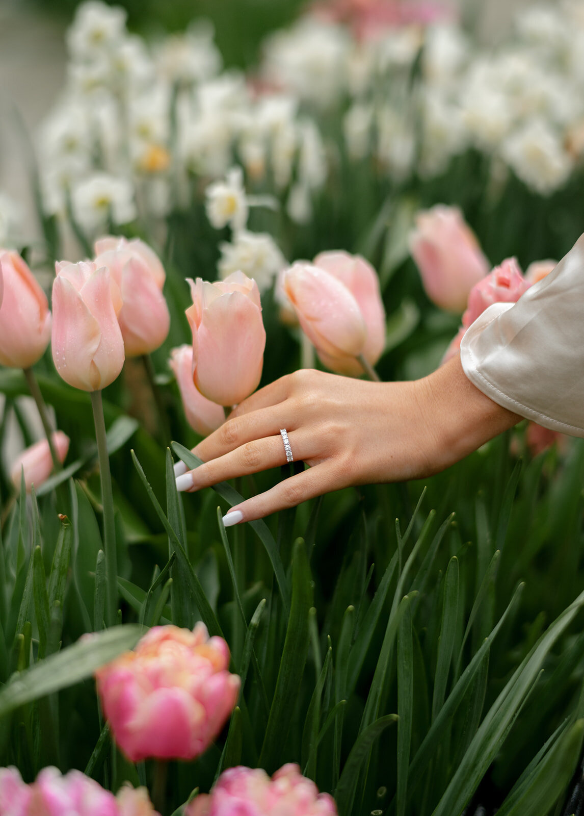 curiouscourtneyphotography548