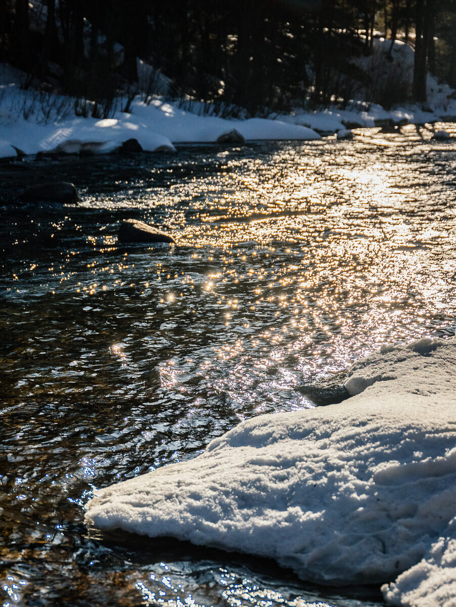 leila-brewster-photography-crested-butte-0083