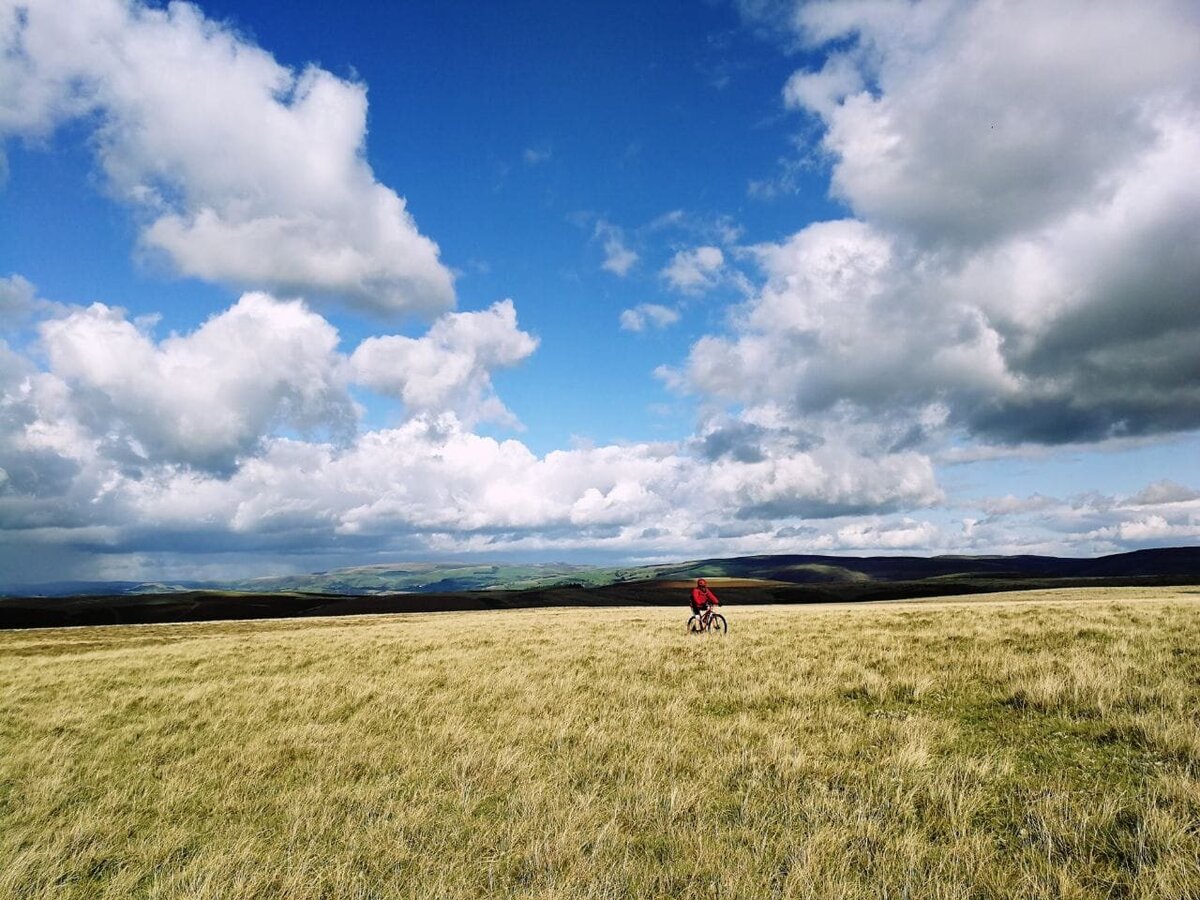 Top of Aberedw - Cyclist