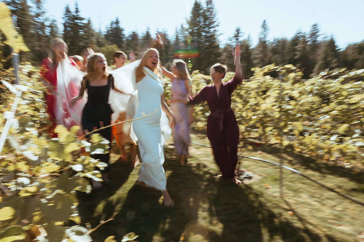 wedding party walks through vineyard in idaho