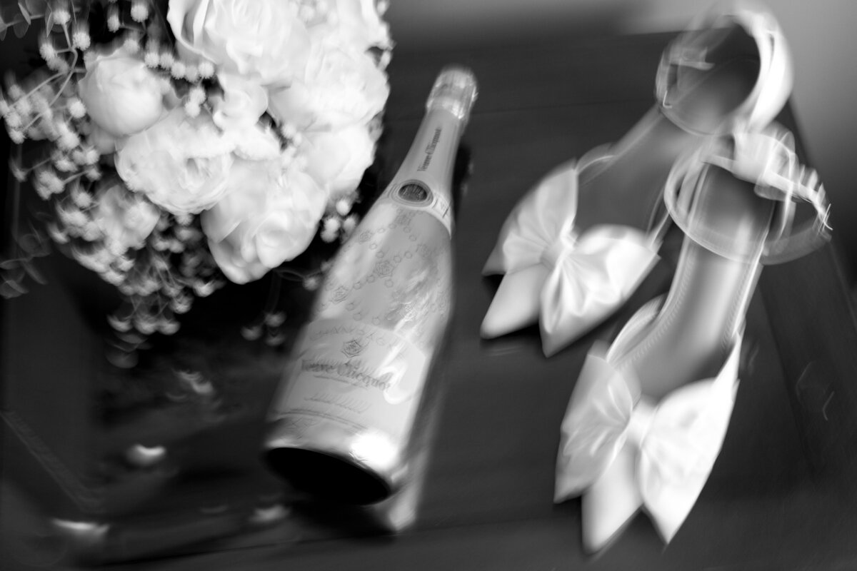 24.06.15-Alanna+AlijhaWedding-2714