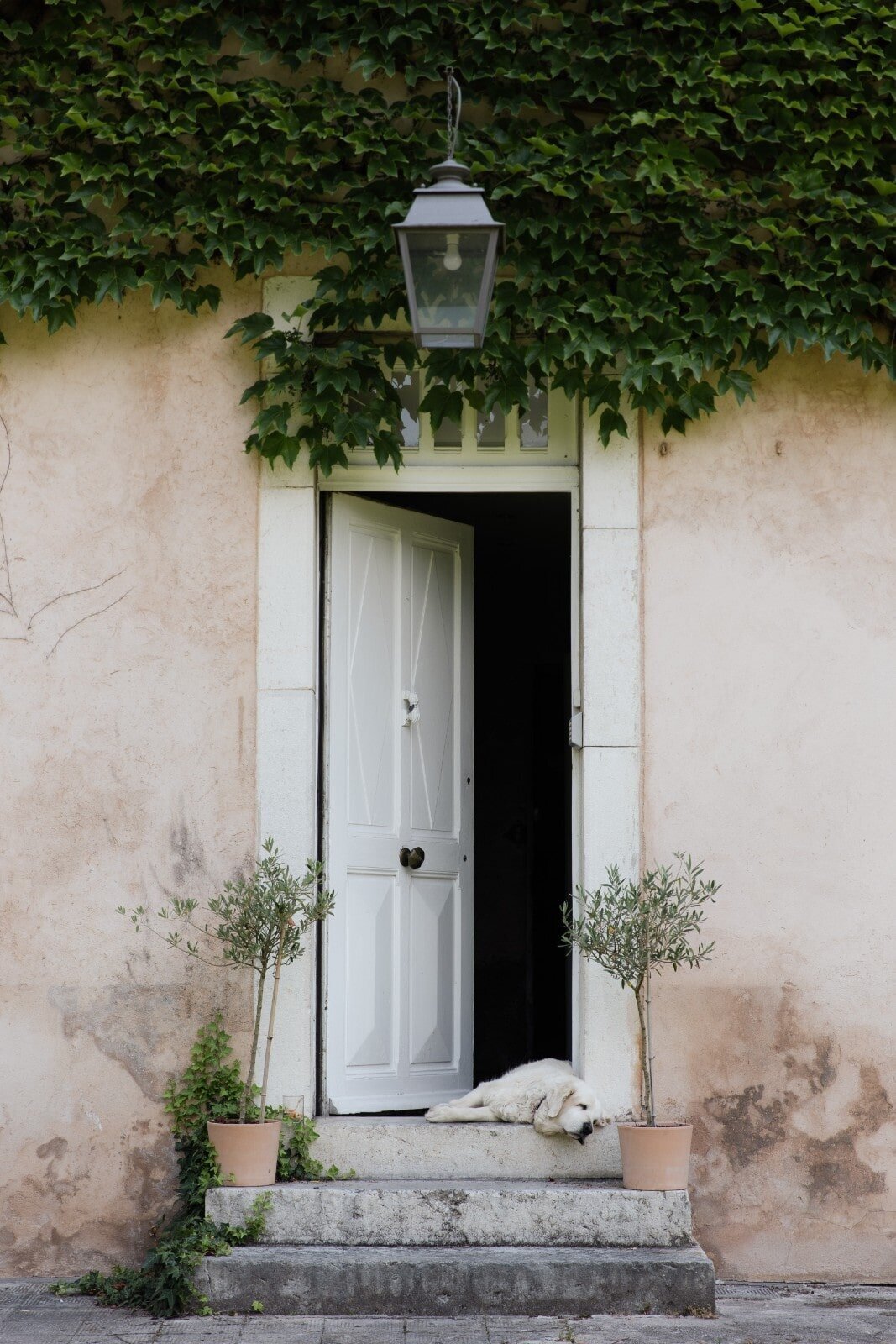 aperçu-ambre-edouard-studio-sensigraphie-photographe-mariage-lyon-9-min