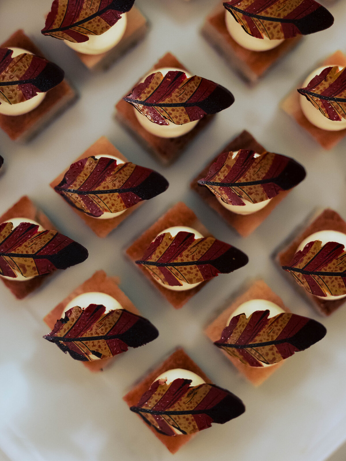 Nainville Pro G 2025-37