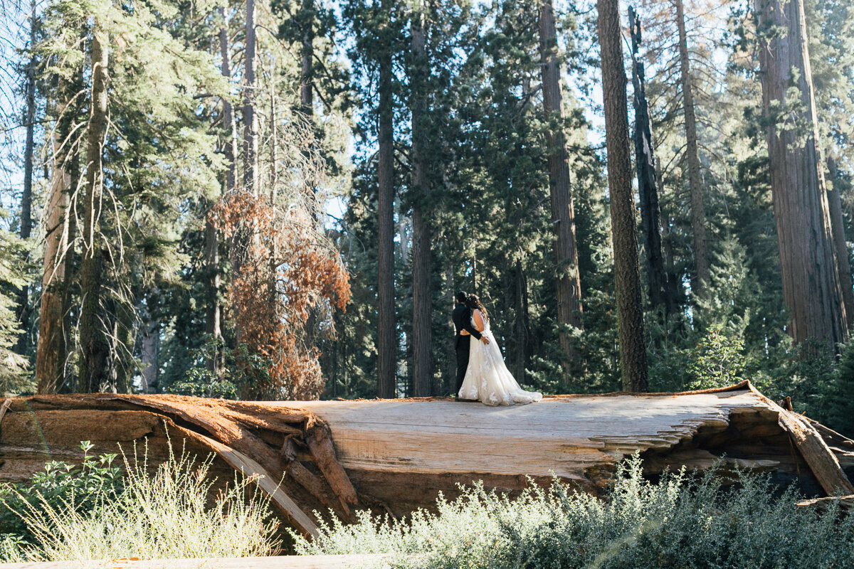californiaelopement-sequoianationalparkelopement-redwoodelopement-42