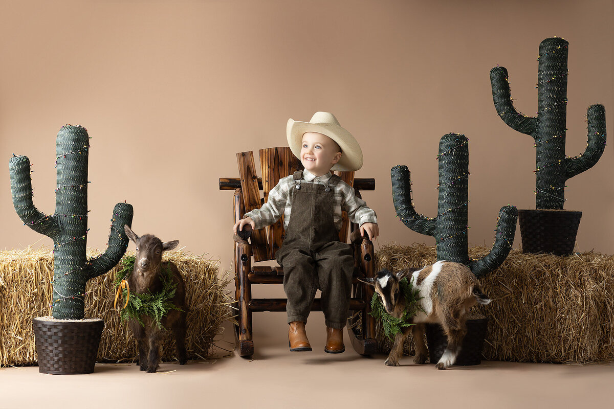 A joyful toddler dressed as a cowboy sits between two goats and holiday-lit cacti on hay bales during a festive Dallas milestone photography session.