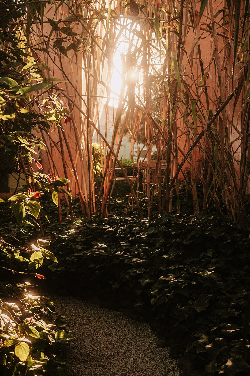 TheAlchemist-294_websize