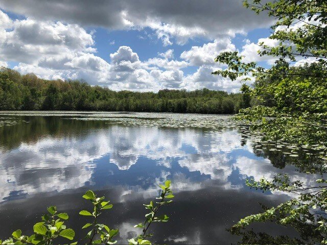 Etang neuf