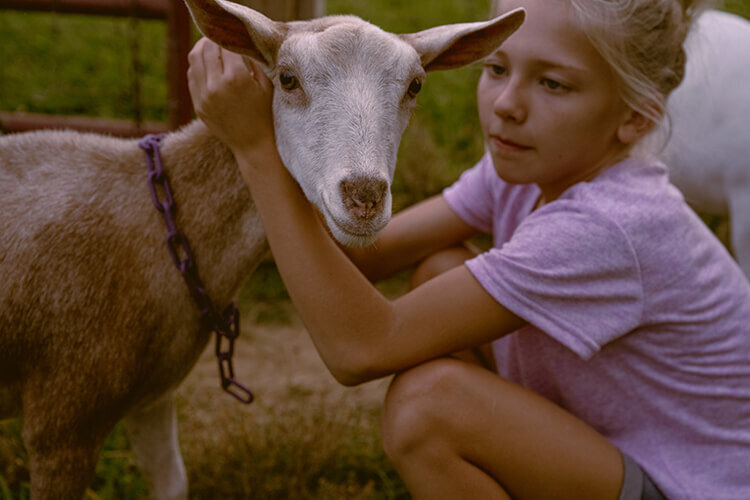 homestead-girl-admiring-farm-goat
