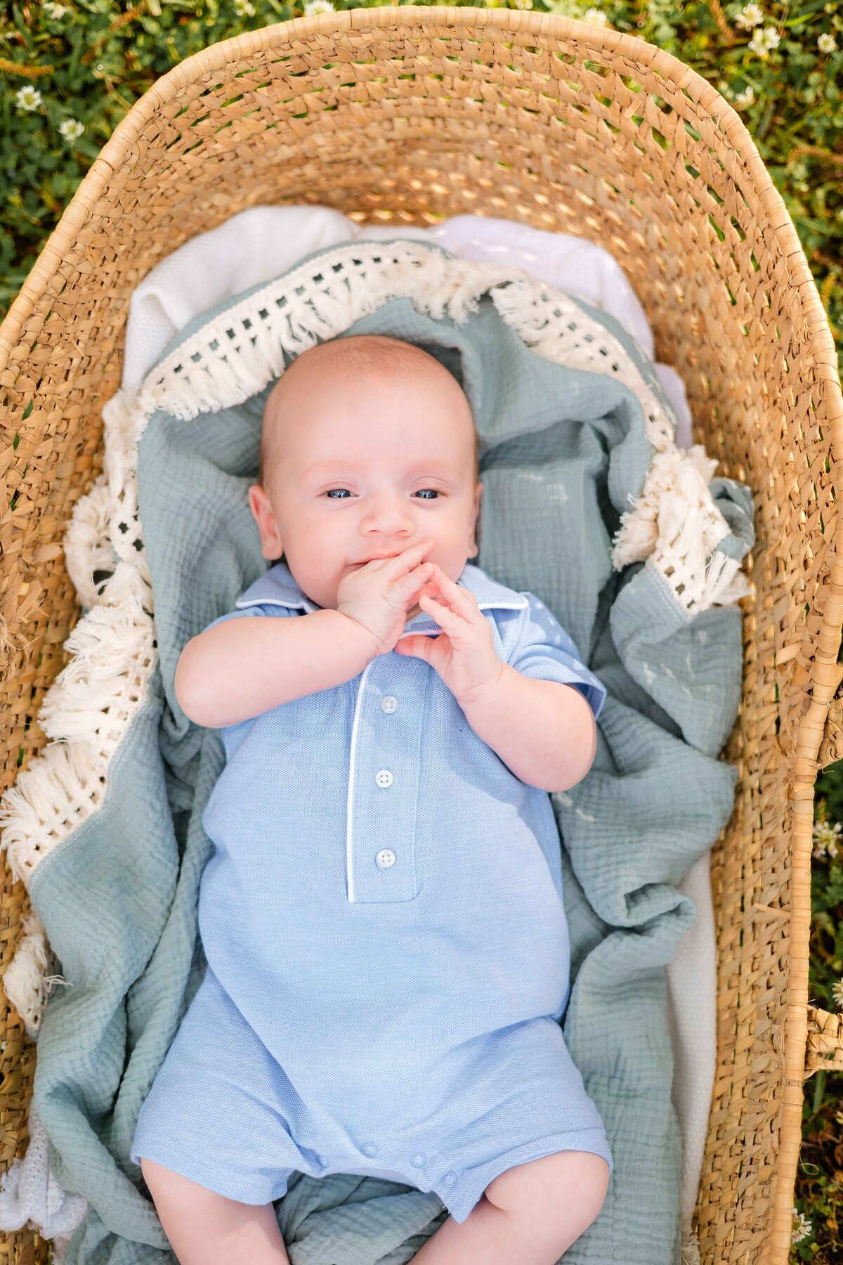 4 month old laying in moses basket for family pictures with Constance Calton photography