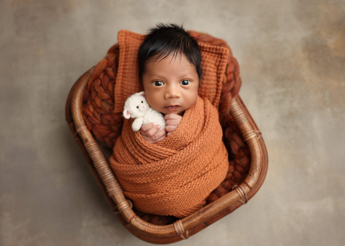 Charlotte-Newborn-photographer41