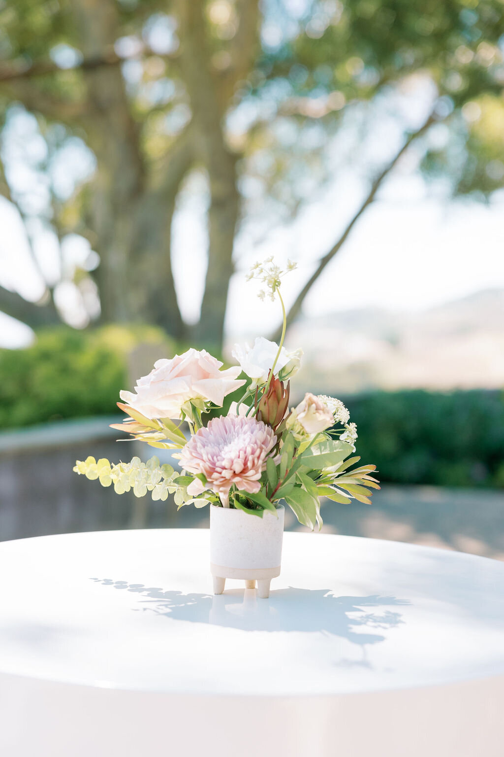 catalina-view-gardens-wedding-planner10
