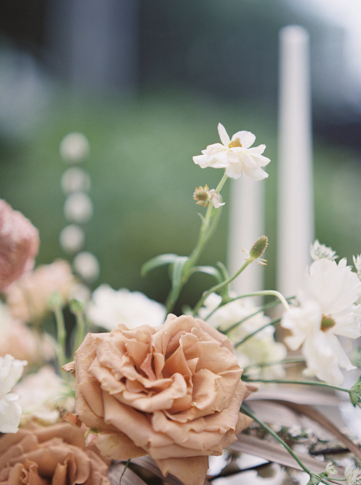 A Detail flower piece shot.