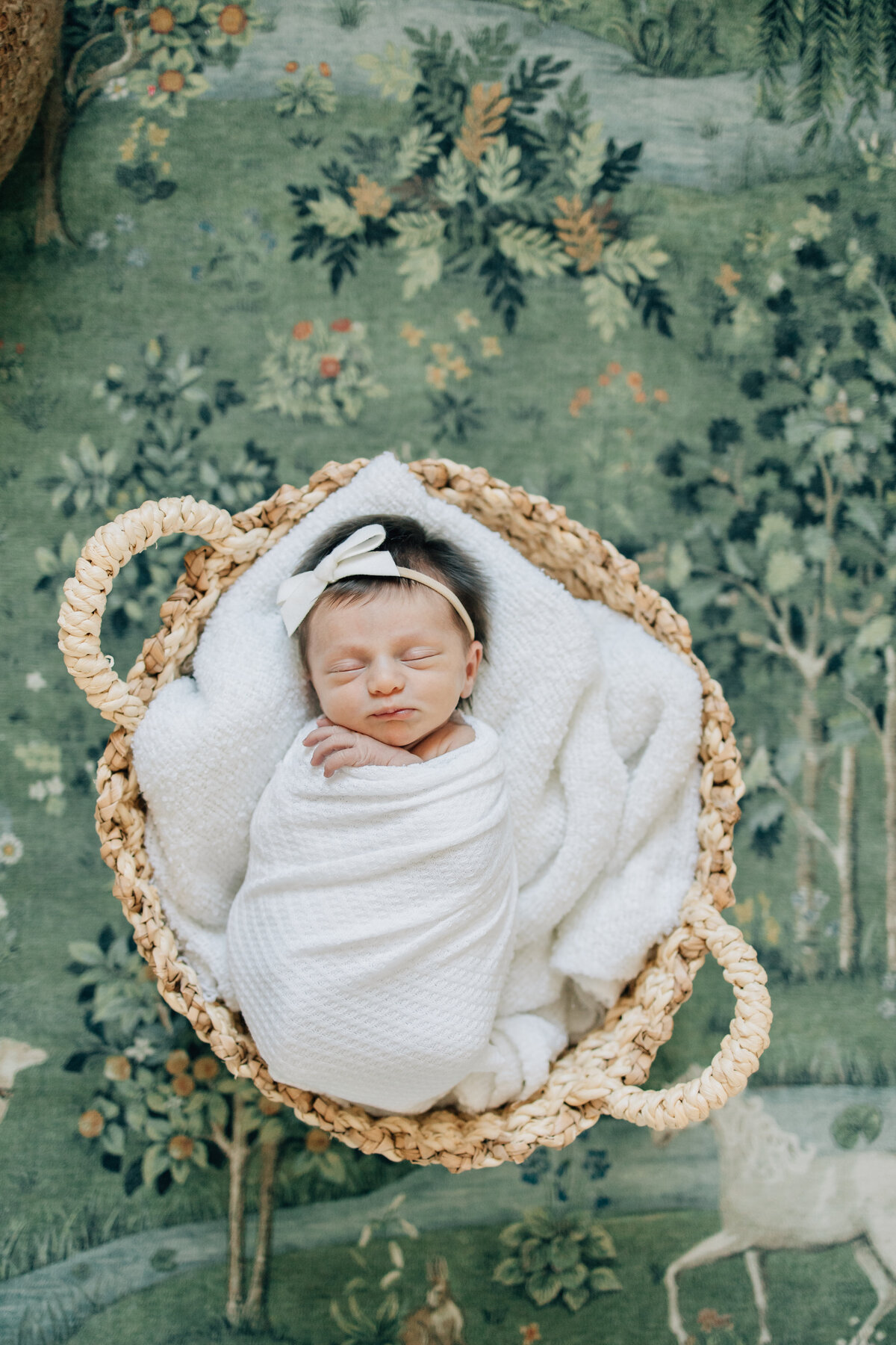 SmithNewborn-20