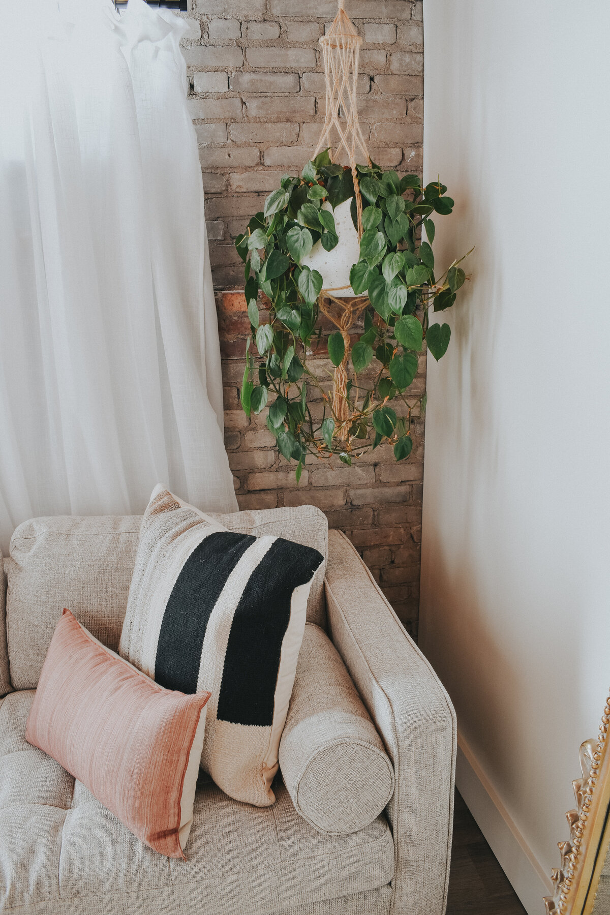 A macrame plant hanger holds a pothos plant next to a grey couch
