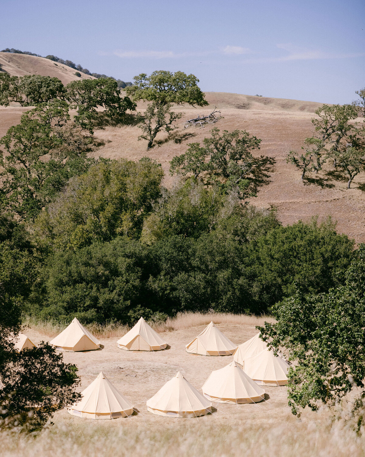 larissa-cleveland-napa-petaluma-wedding-private-estate-shannon-leahy-events-056
