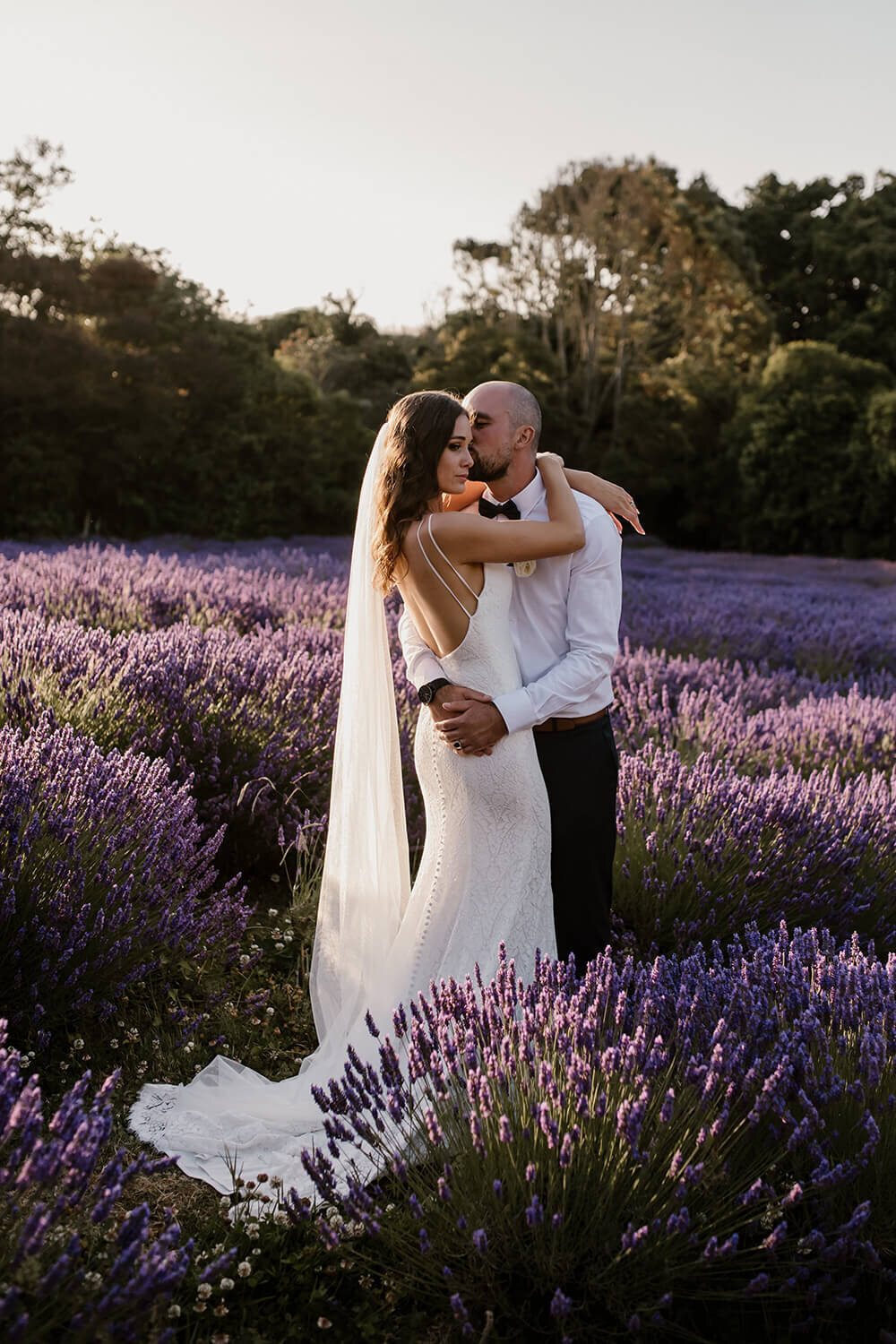 A bride and groom holding one another during their sunset photoshoot at Pihama Lavender Farm while aimee kelly photographs them