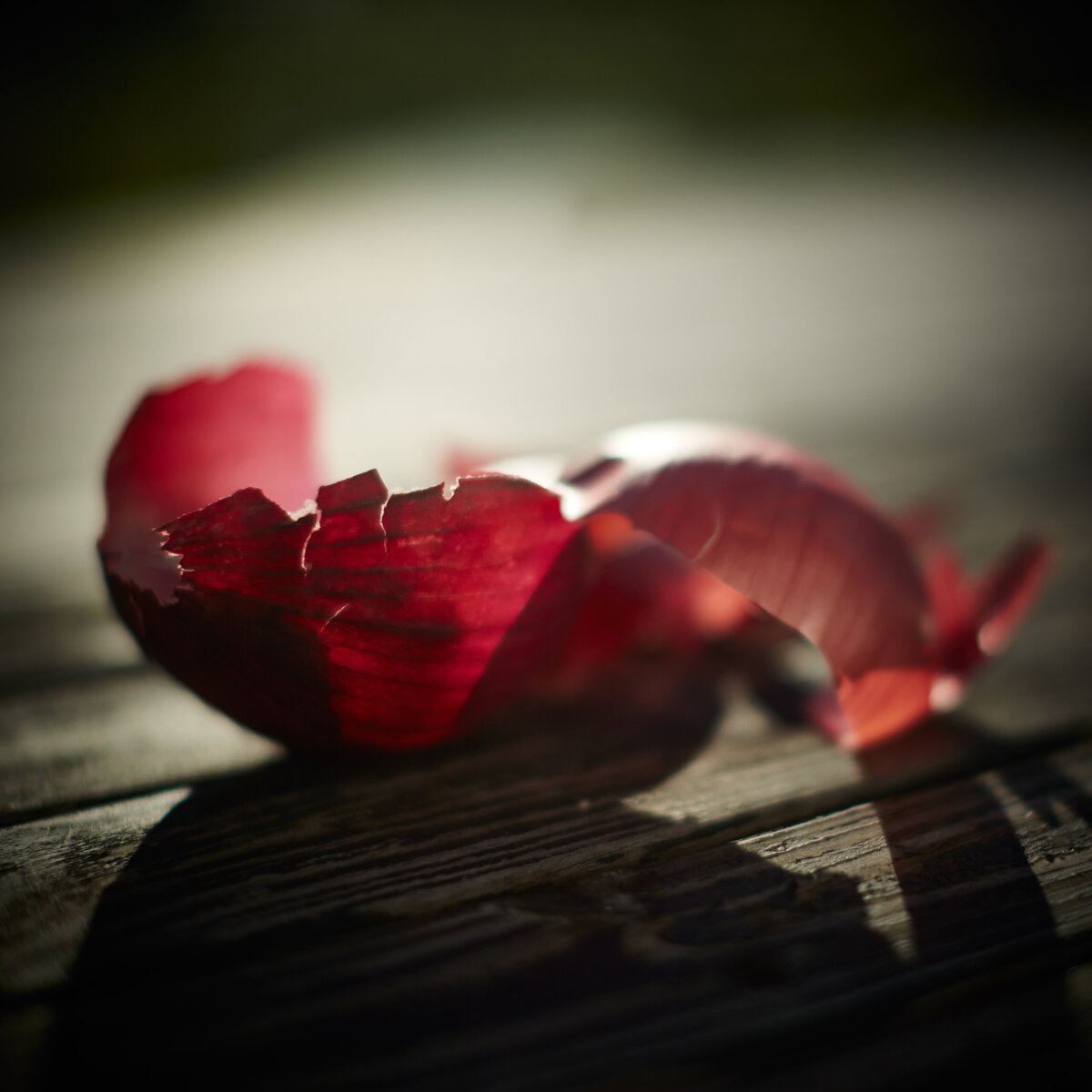 20151006___MG_5970