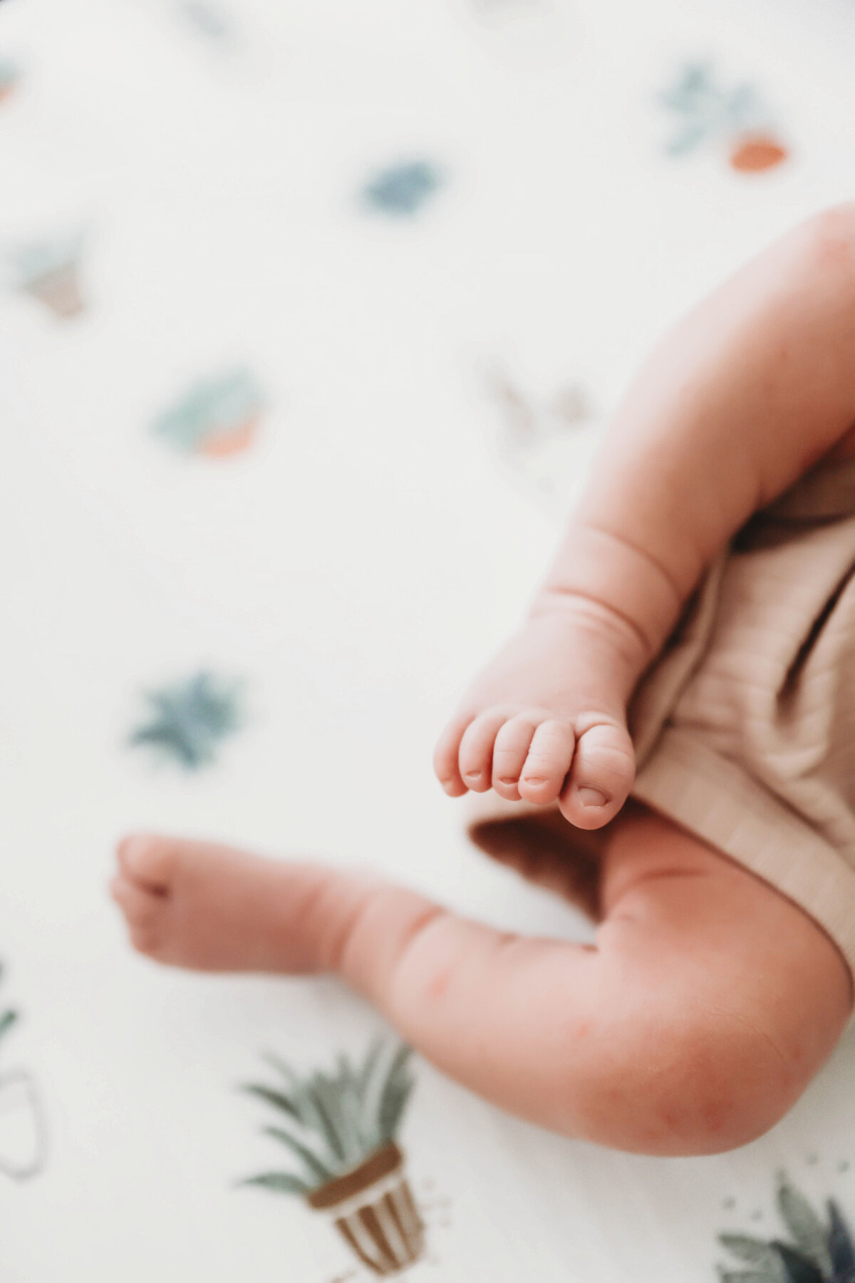 CactusandPinesPhotography_CastleRockNewbornPhotographer_KangasNewborn-7