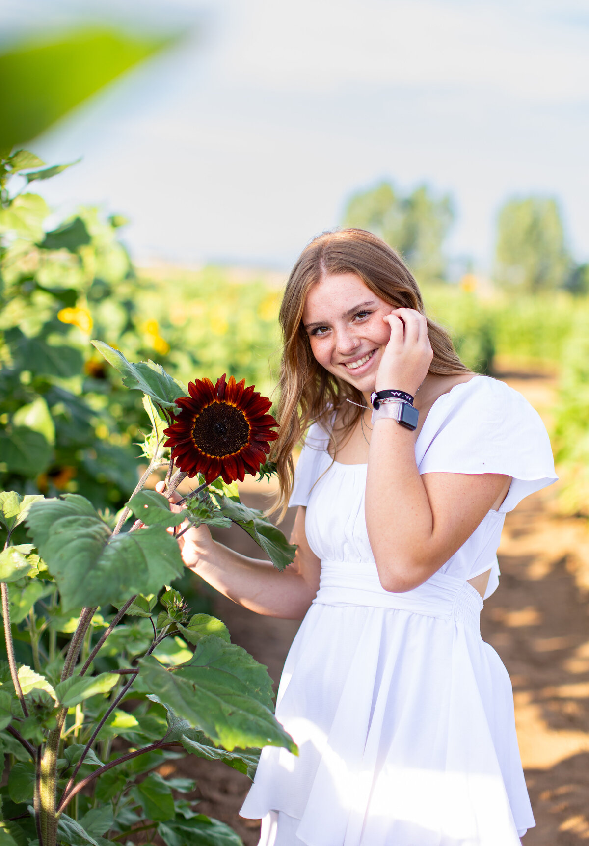Addison sunflower shoot _0014