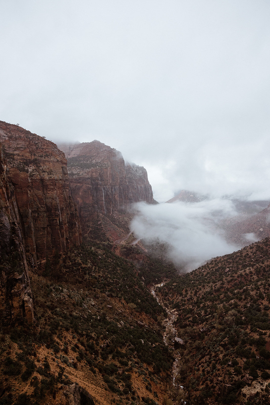 ZionSnowCanyon-dallinhassard-1527