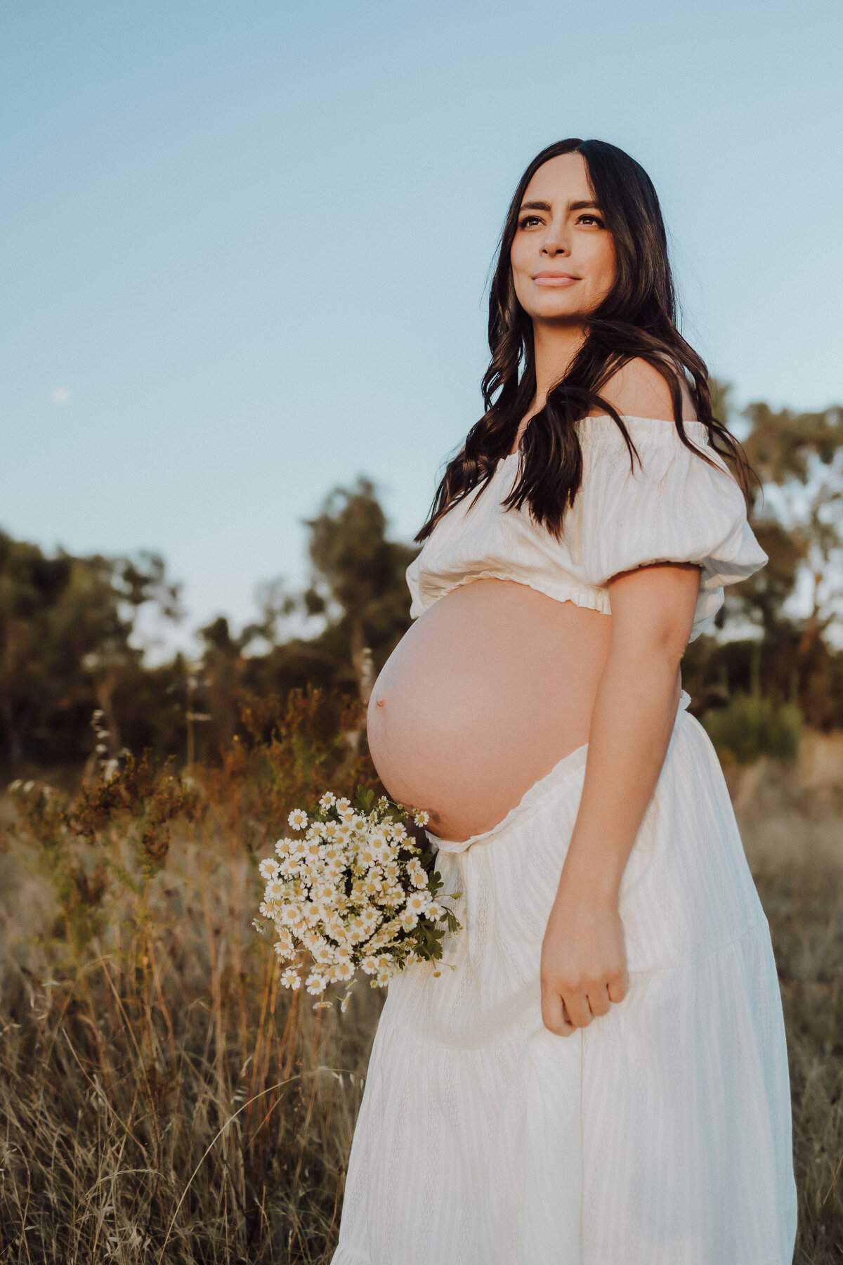 Pregnant belly