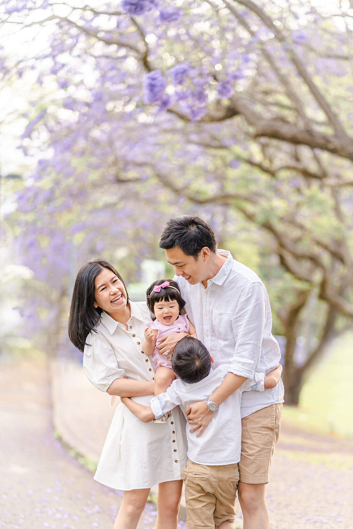 family of four playing under the jacaranda blossoms in UQ during photography session
