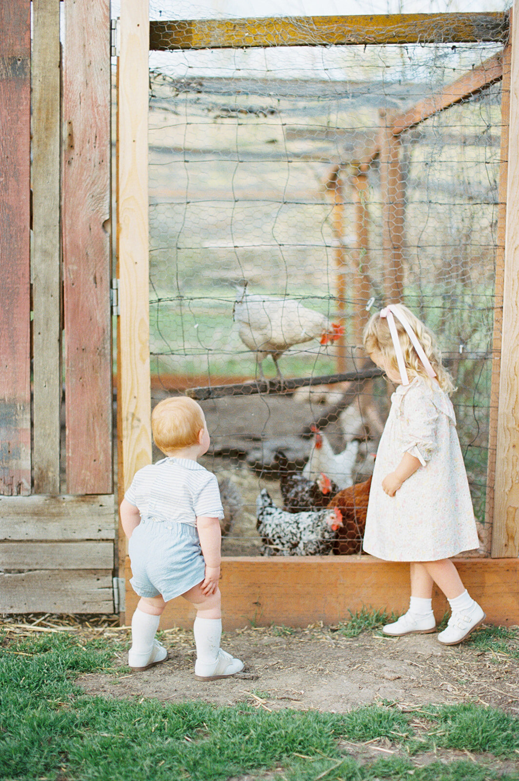 studio-dukesa-hannah-mann-fine-art-motherhood-film-photography-showit-design-partner-113
