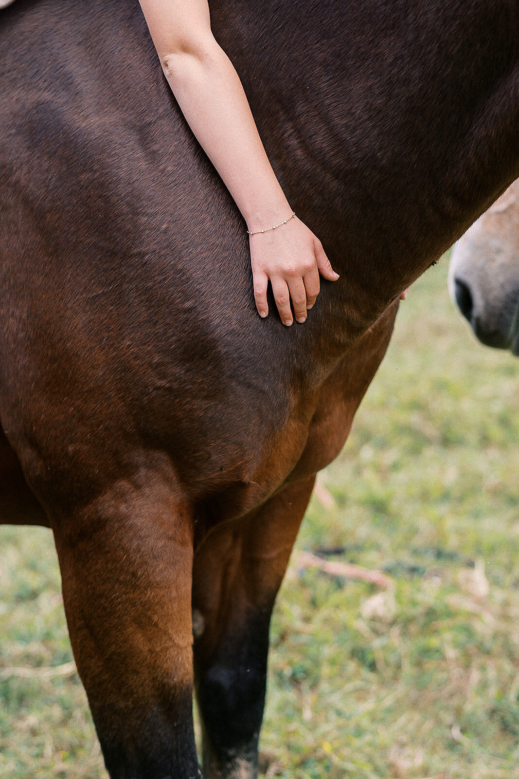 atlanta-newborn-photography-hollyannco-8