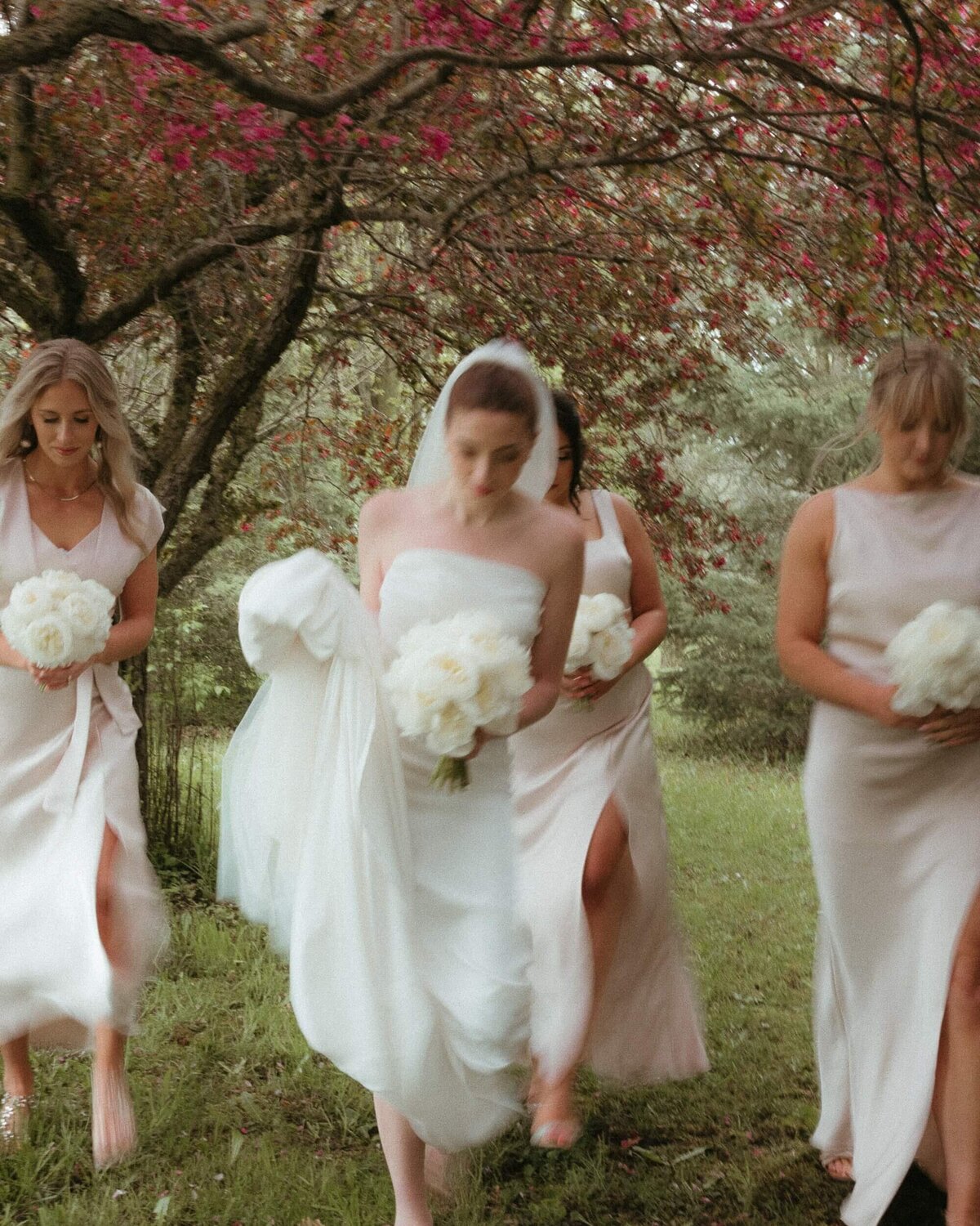 gooseberry-floral-bride-bridesmaids-walking-ontario-wedding