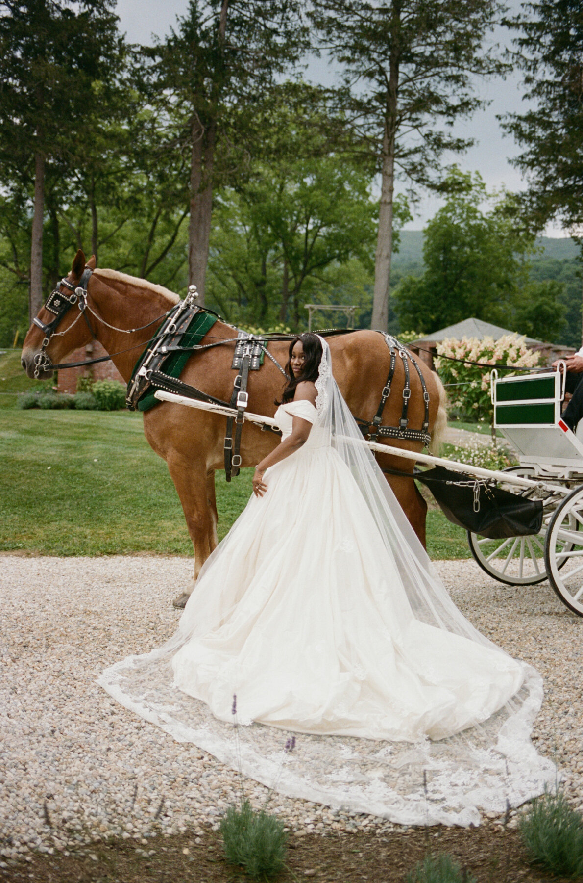 Jenny Losee Photography (93 of 346)