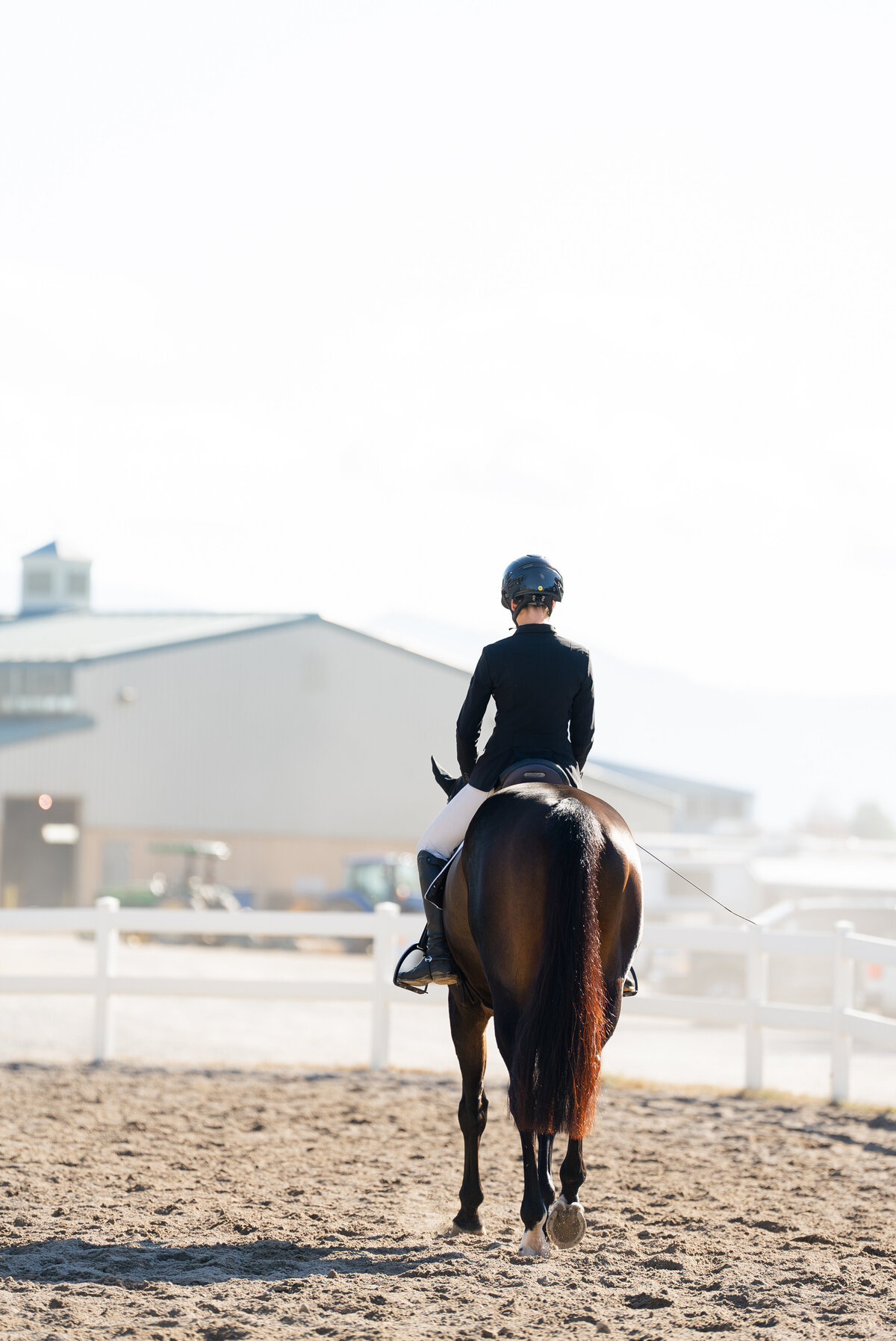 VHCDressage-6