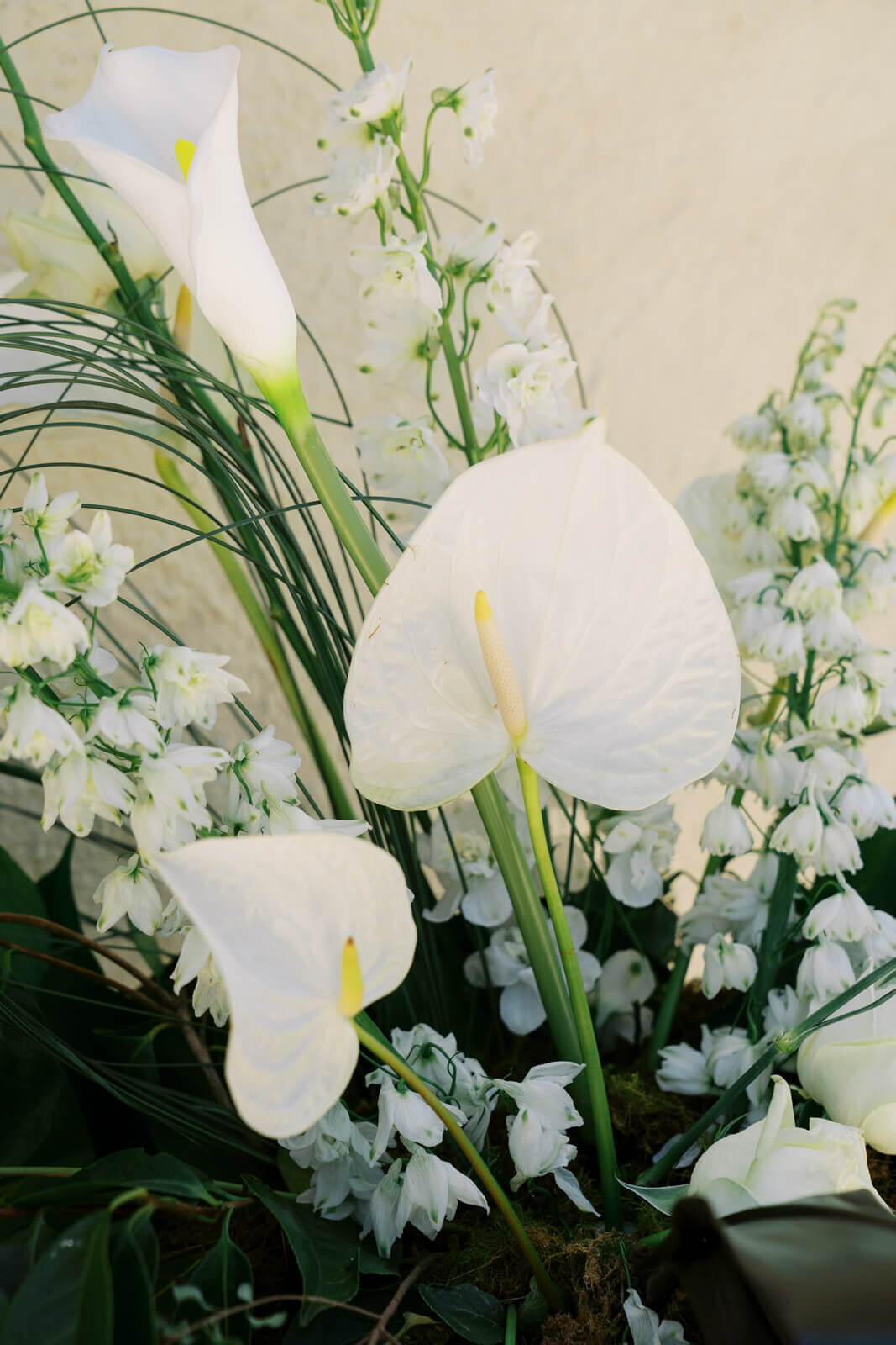 Adrian-Hannah-MountWilliamStationEstateWedding-RedbookStudios--059