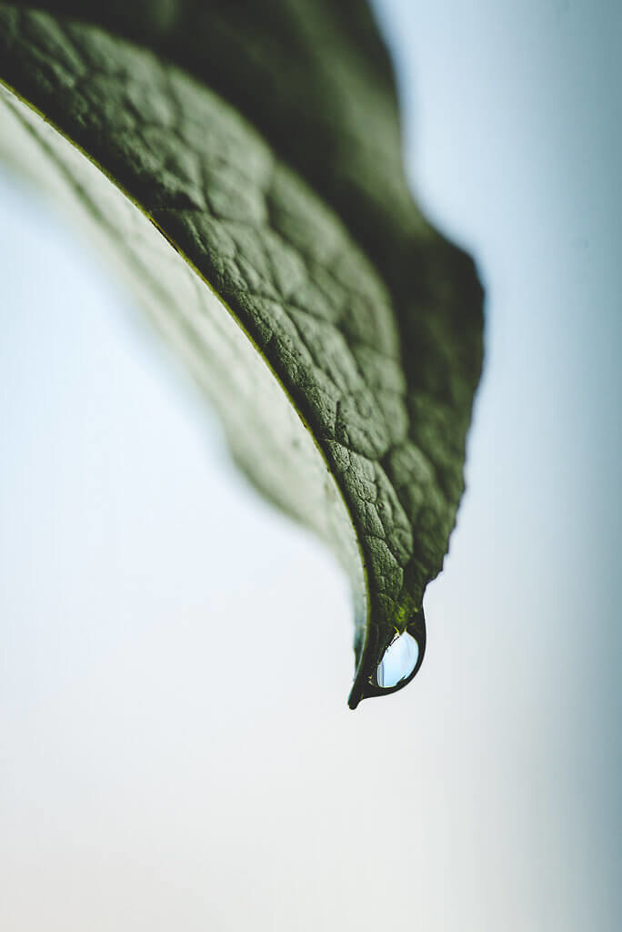 personal_32927180975_58ff5dd301_o