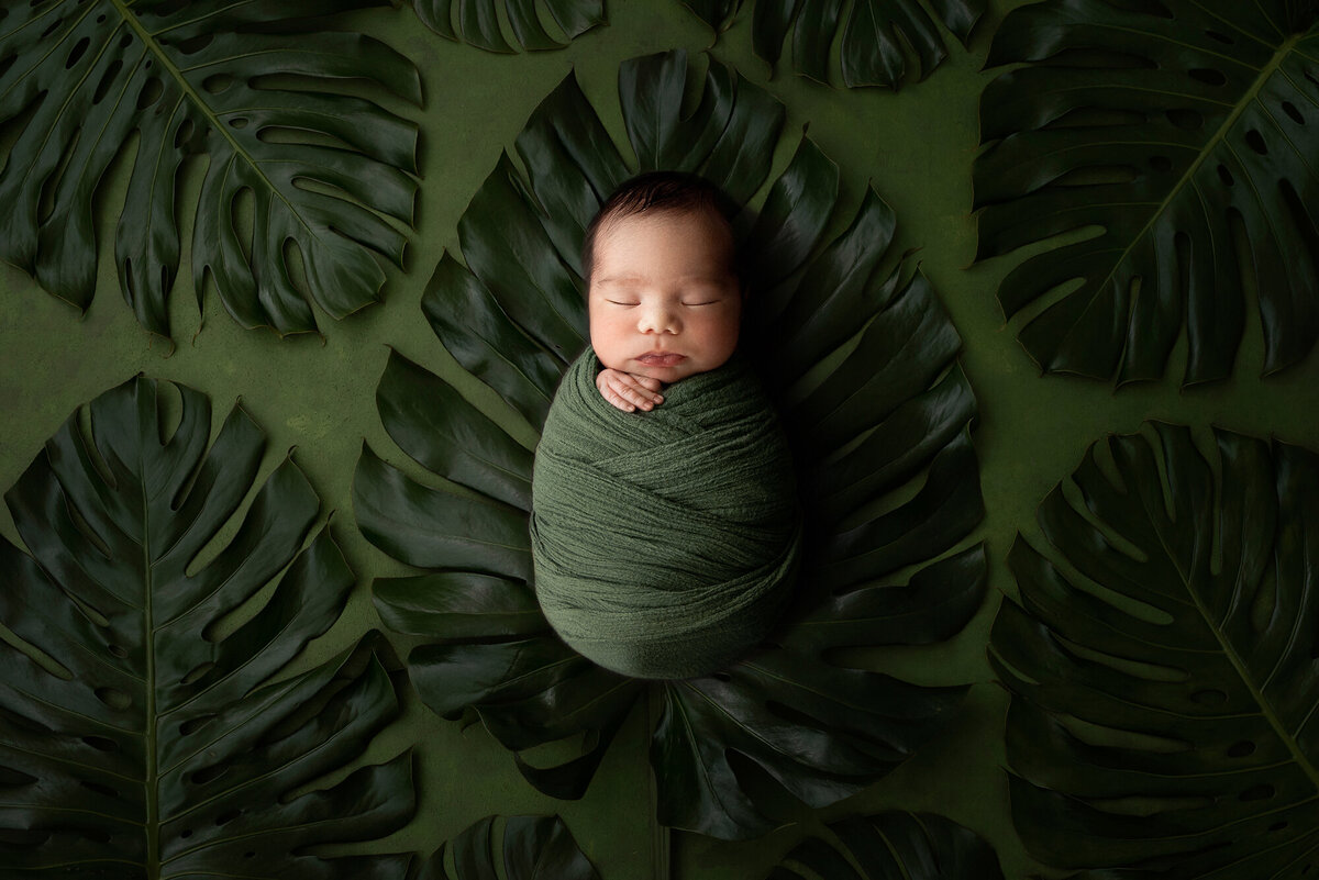 DSC4641 copy  greens copy