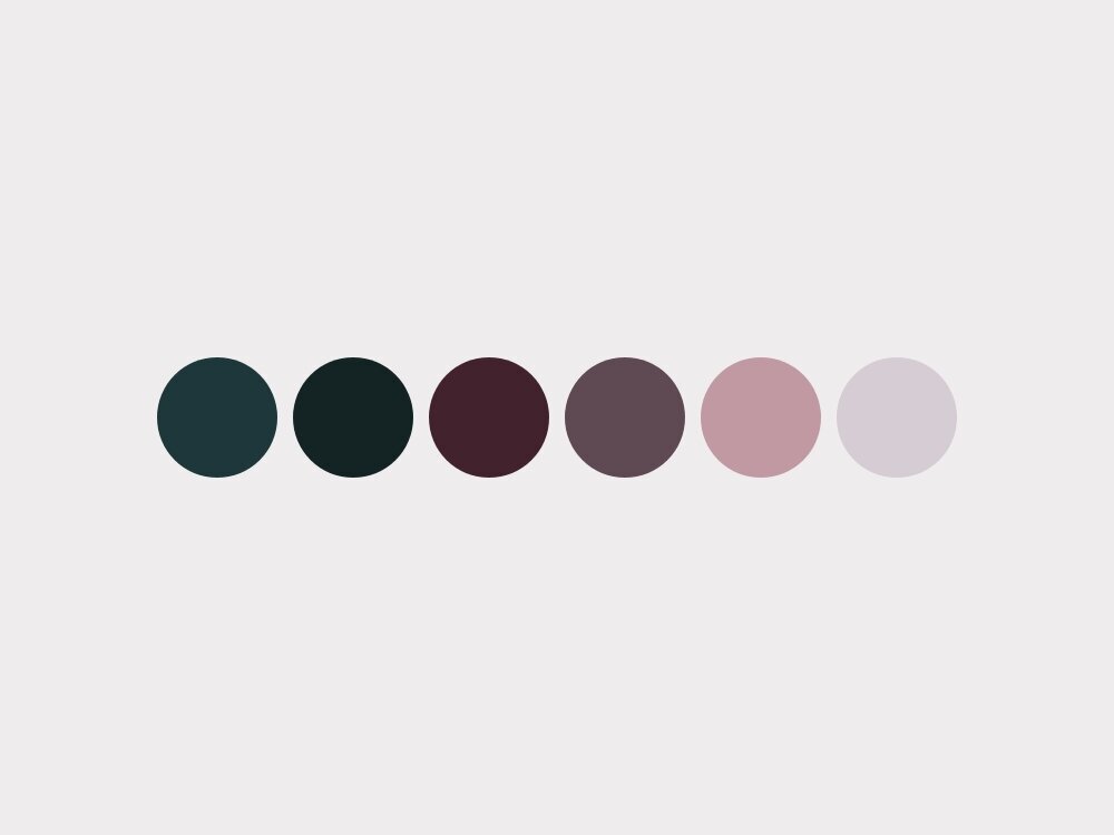 color palette for photographer brand