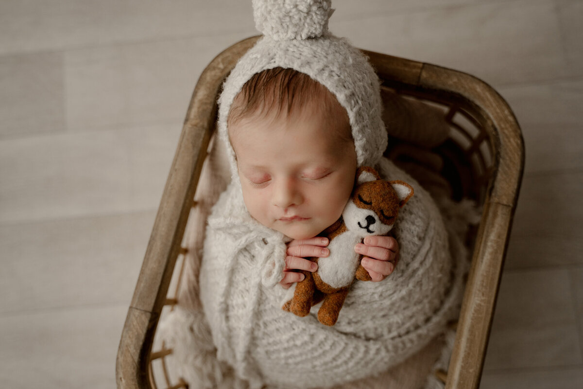 Dothan AL Newborn Photos; wrapped baby with fox stuffed animal in a basket