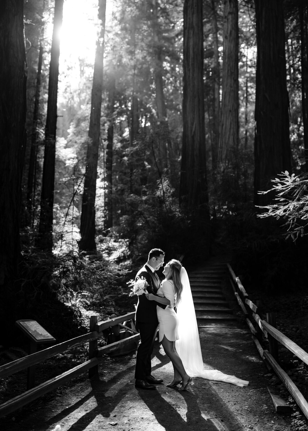 08242022_Rebecca+CharlesElopement_MuirWoodsCA_AnjaJensenPhotography-97