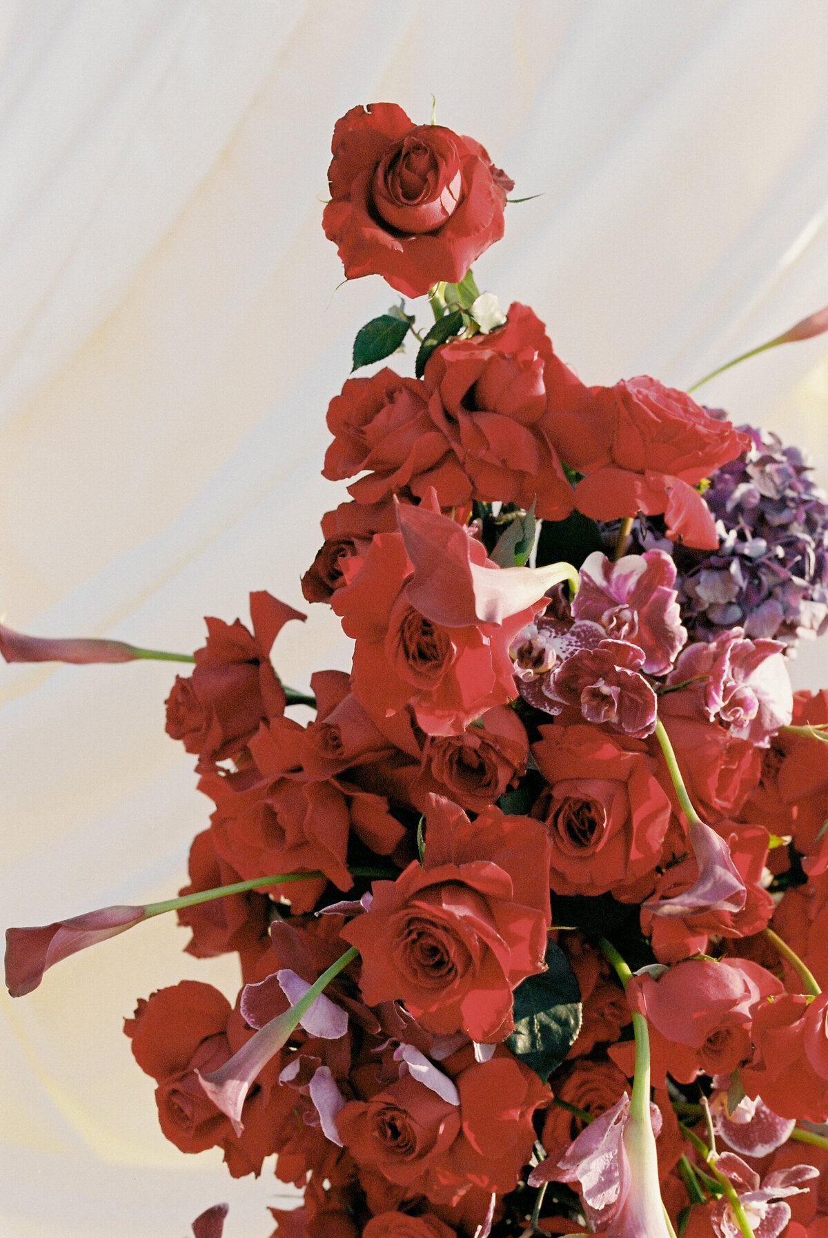 Collab Casa Ventura x Naviva x Vmpineda-16