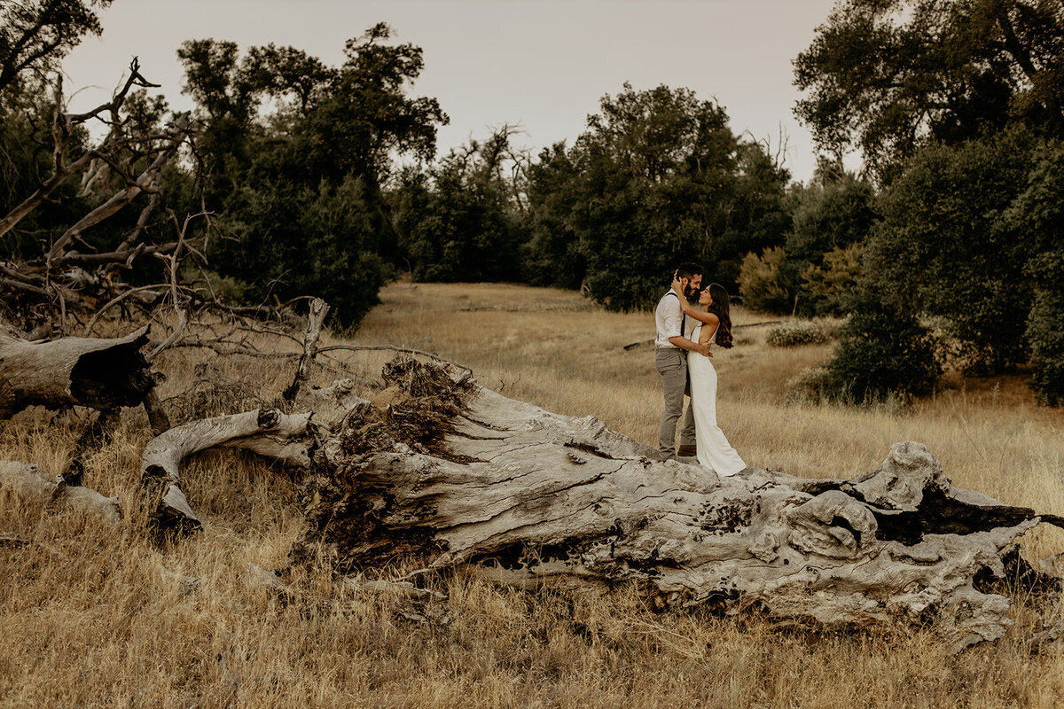 sarahandbrentphotography-Julianelopement-141_websize