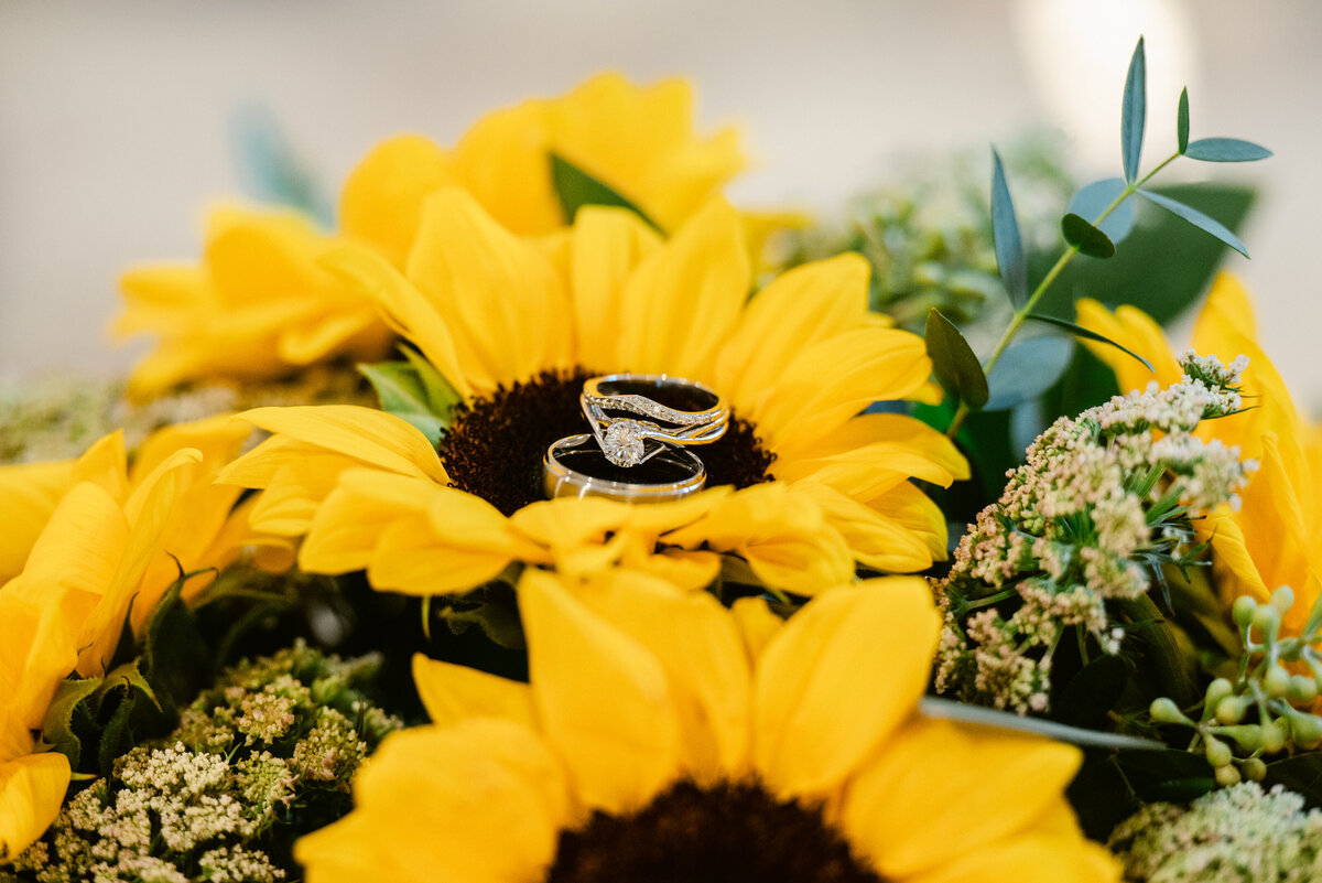 2697-Engagement Photography Nicole Hollenkamp St Cloud MN Central MN