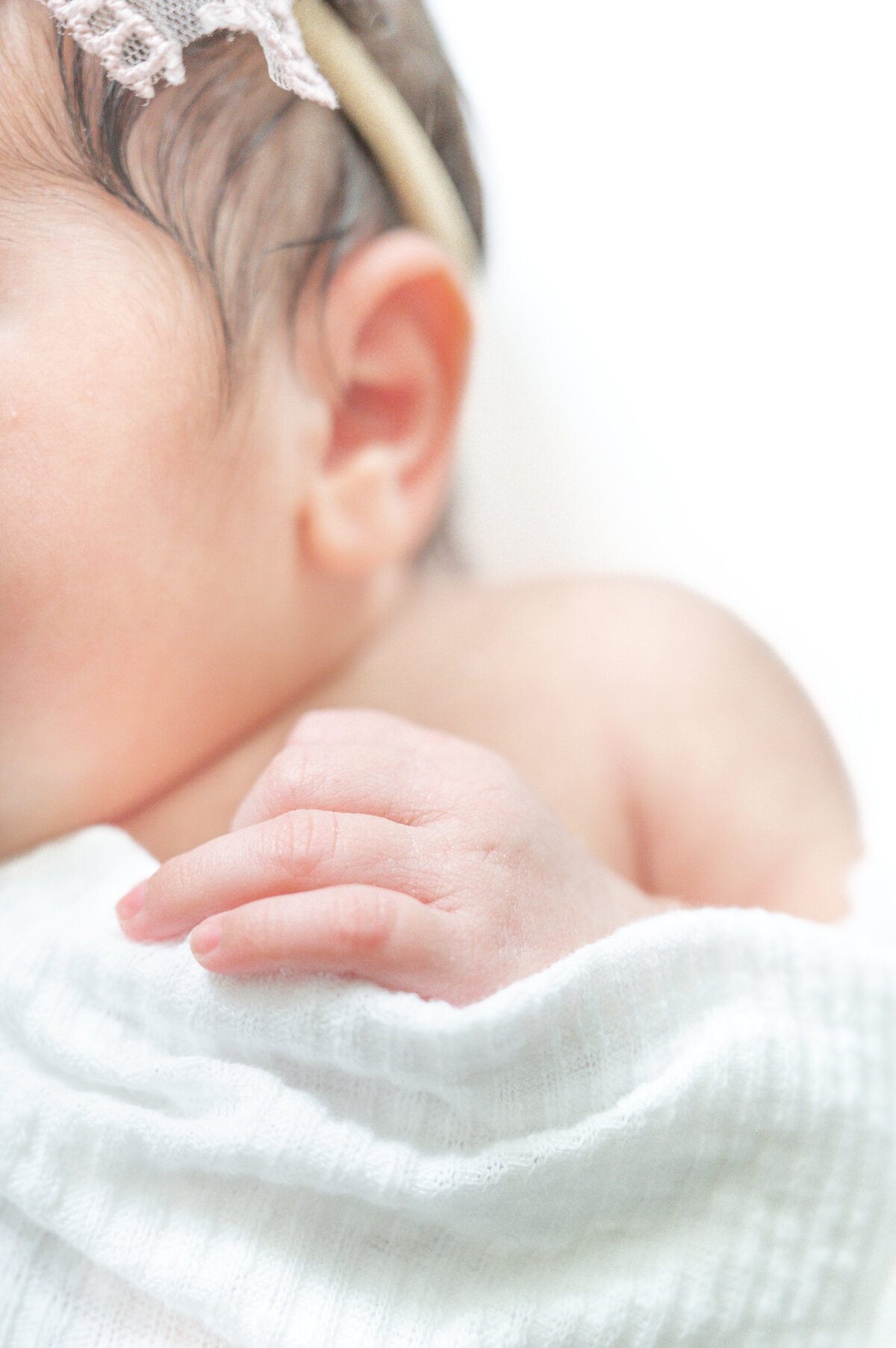 Raleigh newborn photographer