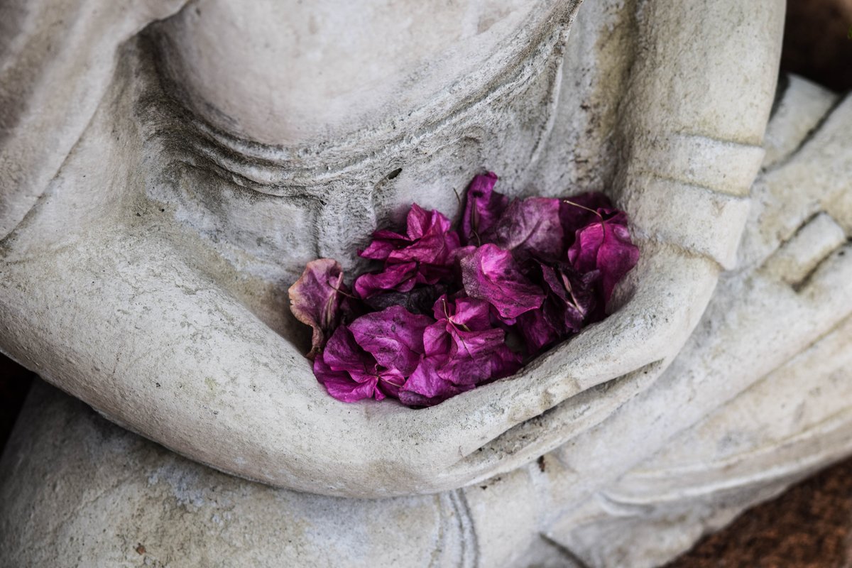 chris-ensey-87456-unsplash