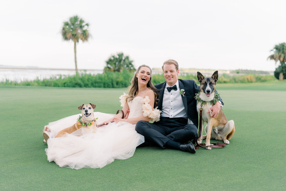 Bride and groom with their dogs. Palm Tree in background. Old Tabby Links spring island destination wedding.