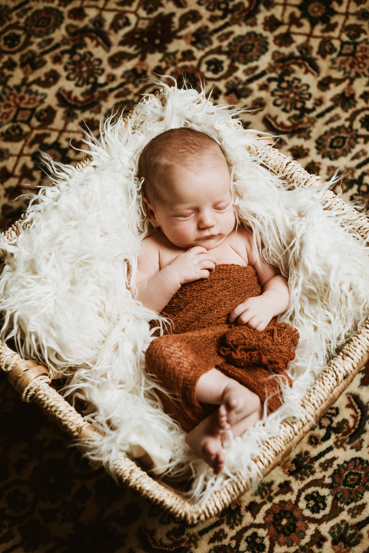 Pittsburhgh Newborn Photographer--Newborn Website Update-39