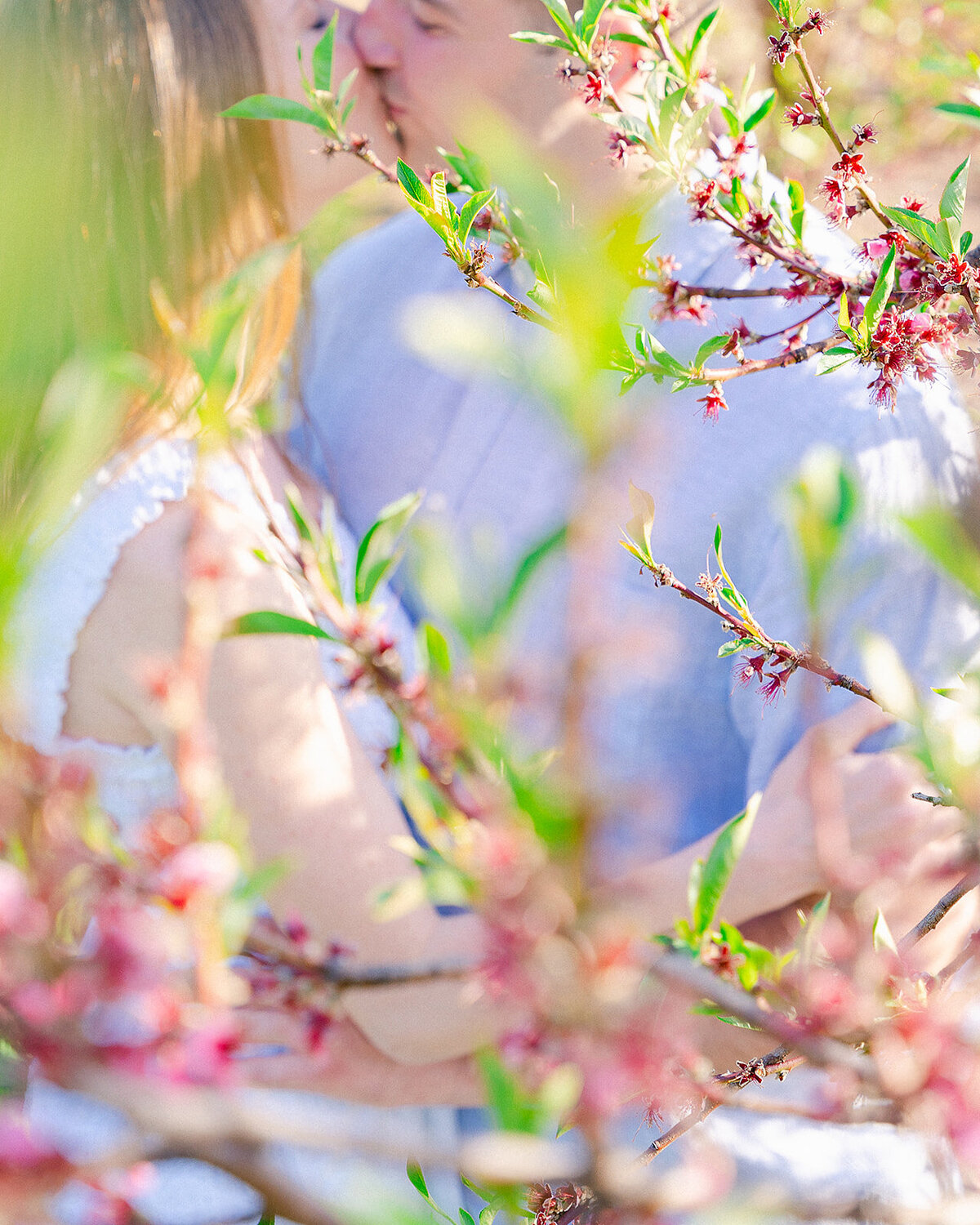 mollymiaphotography-15